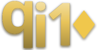 qi10 logo